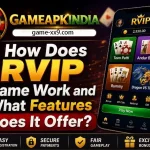 how-does-rvip-game-work